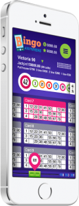 bingoanywhere-2