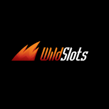 wildslots-3