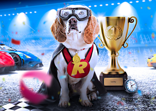 New Rizk Races with daily prizes and free spins